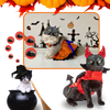 Bat Wing Cat Mask for Cats Comfortable Halloween Accessory
