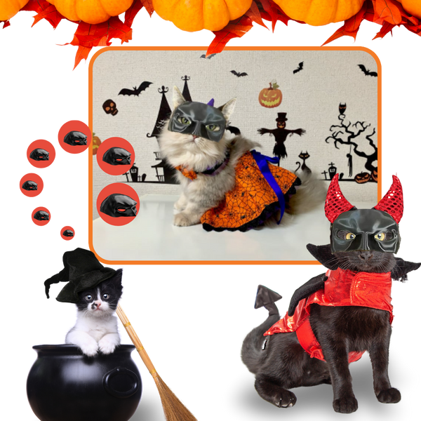 Bat Wing Cat Mask for Cats Comfortable Halloween Accessory