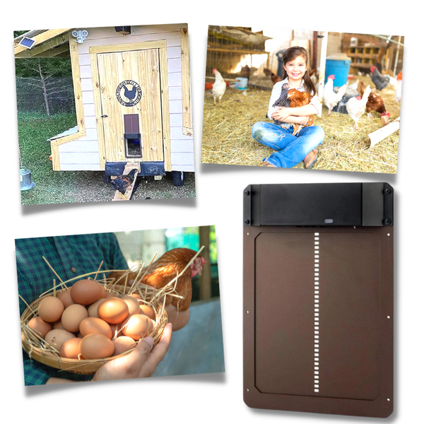 Light Sensor Battery Powered Chicken Coop Door for Safe and Easy Access