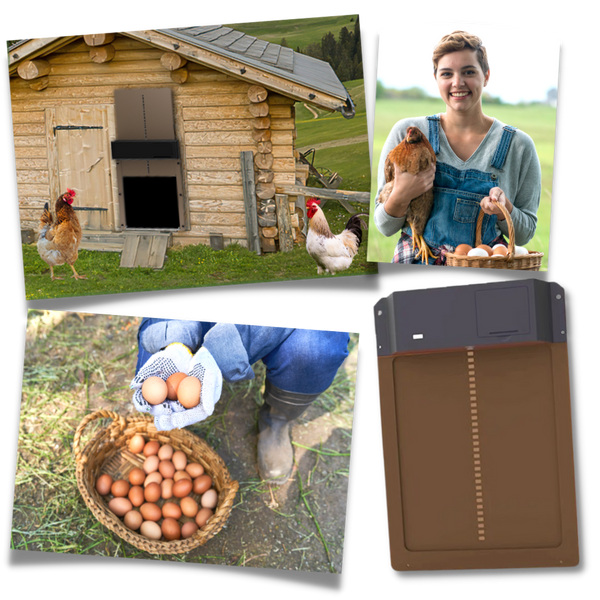 Light Sensor Battery Powered Chicken Coop Door for Safe and Easy Access