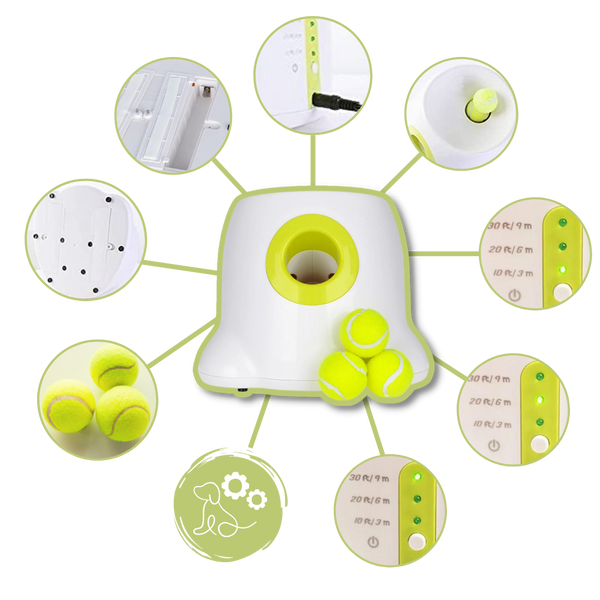 Smart Ball Launcher For Dogs Delivers Effortless Fetch Fun