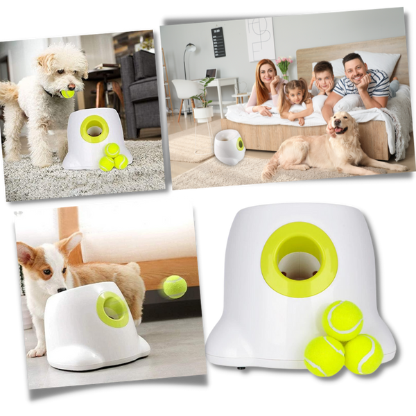 Smart Ball Launcher For Dogs Delivers Effortless Fetch Fun