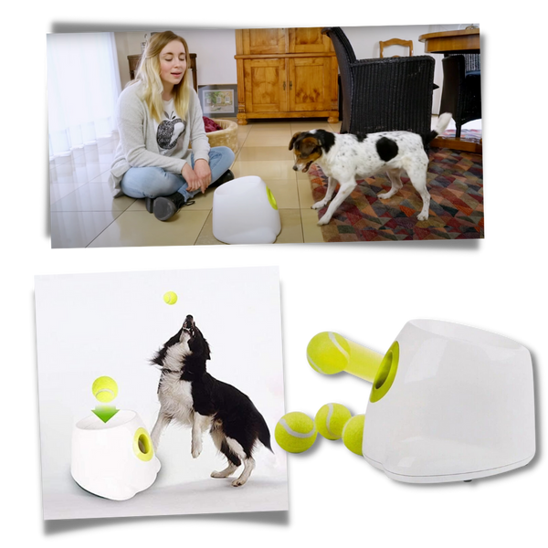 Smart Ball Launcher For Dogs Delivers Effortless Fetch Fun