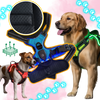 Light Up Dog Harness With Night Visibility And 3 LED Modes