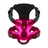 Light Up Dog Harness With Night Visibility And 3 LED Modes
