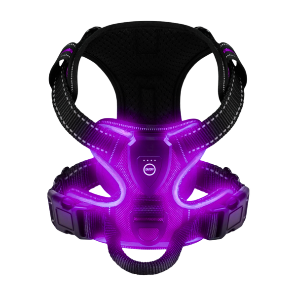 Light Up Dog Harness With Night Visibility And 3 LED Modes