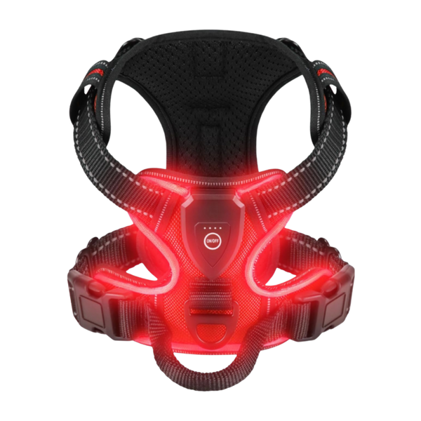 Light Up Dog Harness With Night Visibility And 3 LED Modes