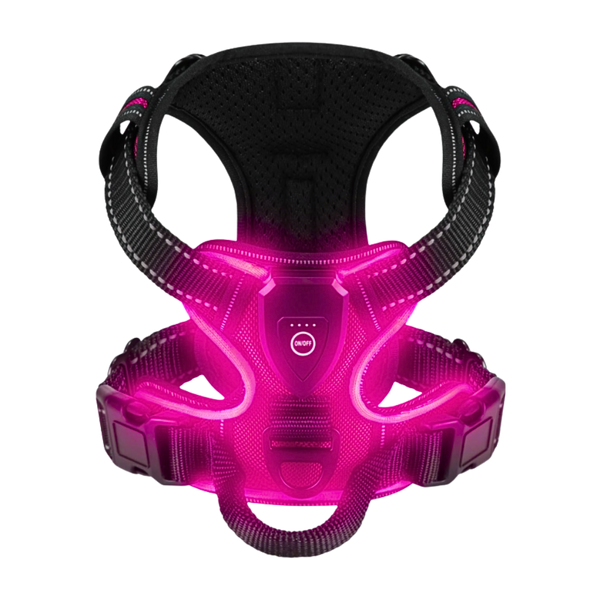 Light Up Dog Harness With Night Visibility And 3 LED Modes