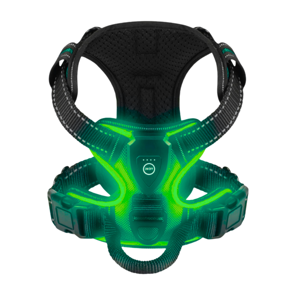 Light Up Dog Harness With Night Visibility And 3 LED Modes