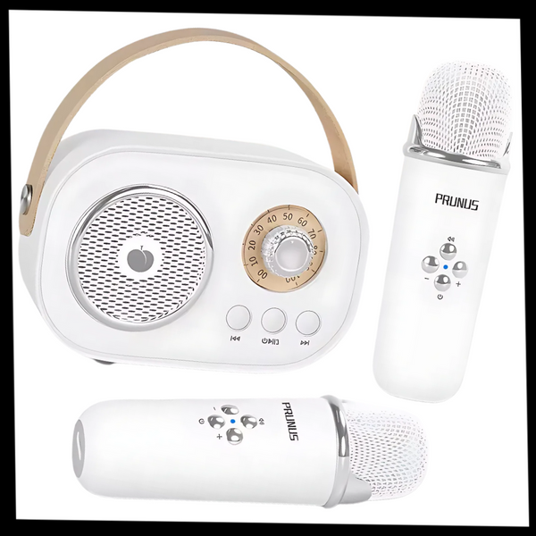 Kids Bluetooth Mini Karaoke System With Dual Microphones And Effects