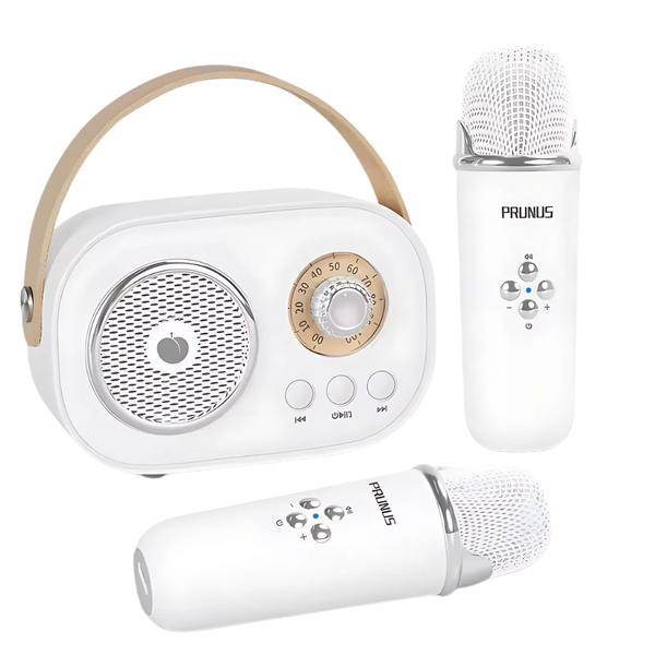 Kids Bluetooth Mini Karaoke System With Dual Microphones And Effects