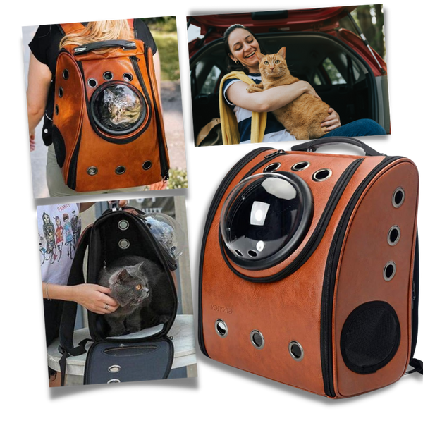 Bubble Transparent Cat Travel Backpack For All Day Comfort