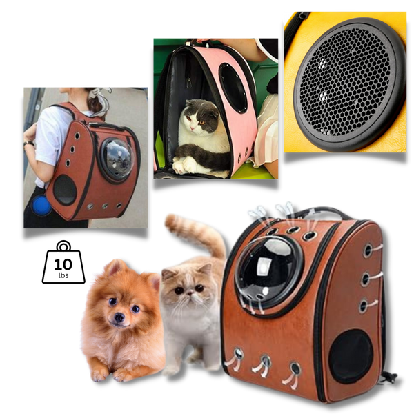 Bubble Transparent Cat Travel Backpack For All Day Comfort
