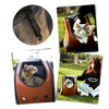Bubble Transparent Cat Travel Backpack For All Day Comfort