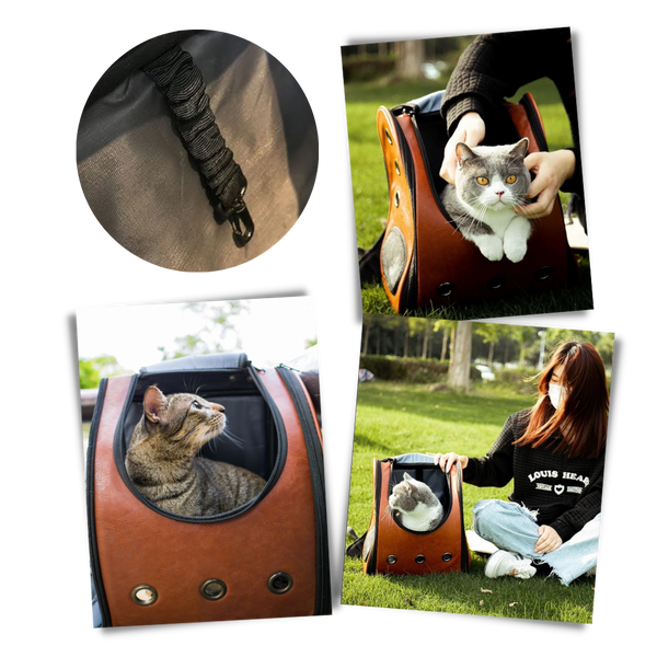 Bubble Transparent Cat Travel Backpack For All Day Comfort