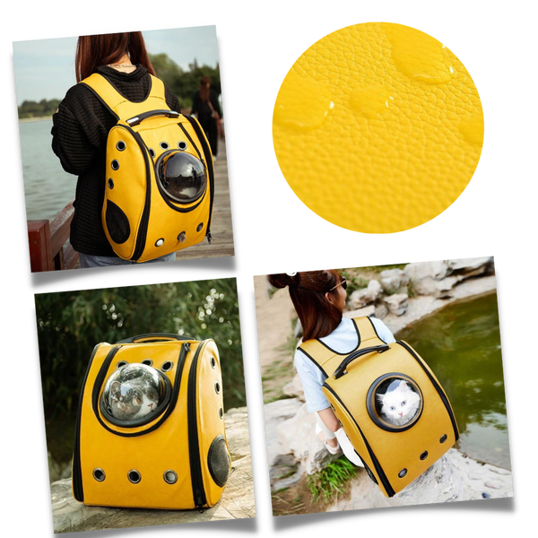 Bubble Transparent Cat Travel Backpack For All Day Comfort