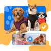 Waterproof Winter Dog Jacket With Built In Harness For Warmth