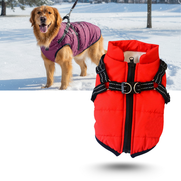 Waterproof Winter Dog Jacket With Built In Harness For Warmth