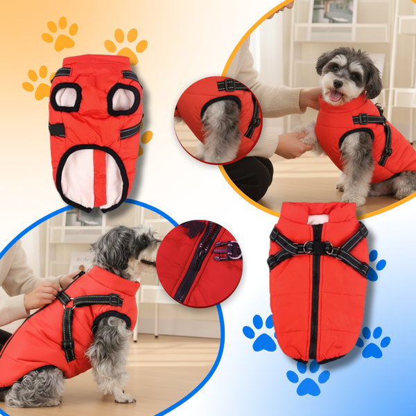 Waterproof Winter Dog Jacket With Built In Harness For Warmth