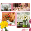 Floral Arrangement Holder With Stem Organizer For Pro Bouquets