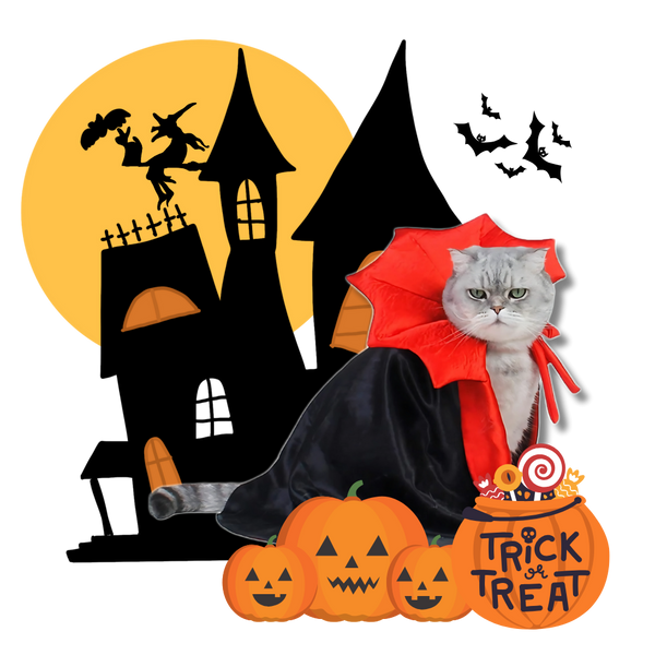 Dracula Halloween Pet Costume With Adjustable Comfort Fit