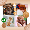 Robotic Plush Pet With Lifelike Movements And Realistic Fur
