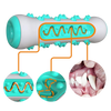 Dog Dental Chew Toy For Deep Cleaning And Healthy Teeth