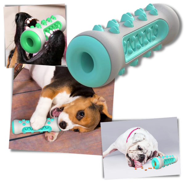 Dog Dental Chew Toy For Deep Cleaning And Healthy Teeth