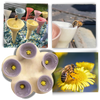 Stylish Bee Cup For Easy Hydration Of Pollinators Long Lasting