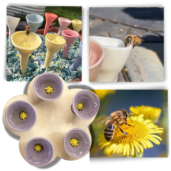 Stylish Bee Cup For Easy Hydration Of Pollinators Long Lasting
