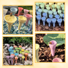 Stylish Bee Cup For Easy Hydration Of Pollinators Long Lasting