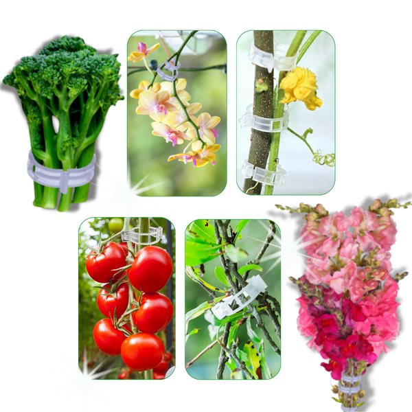 Reusable Clip-On Plant Support for Gentle Vertical Growth of Vines