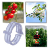 Reusable Clip-On Plant Support for Gentle Vertical Growth of Vines