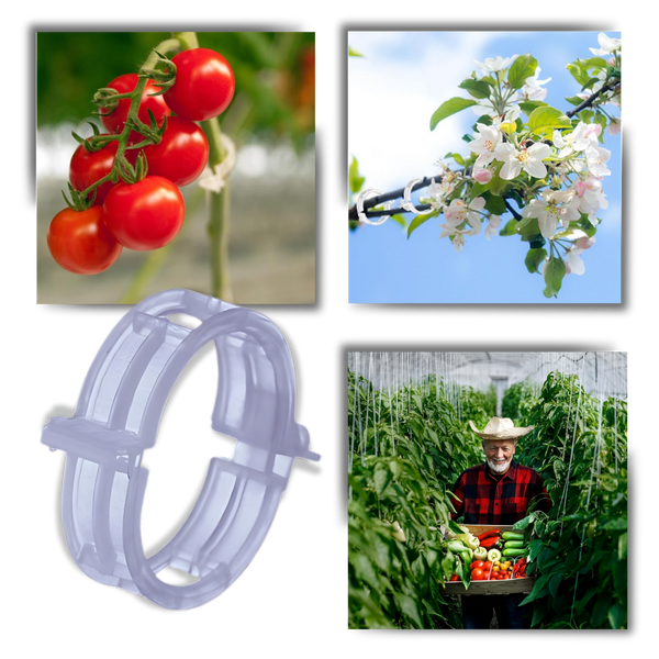 Reusable Clip-On Plant Support for Gentle Vertical Growth of Vines