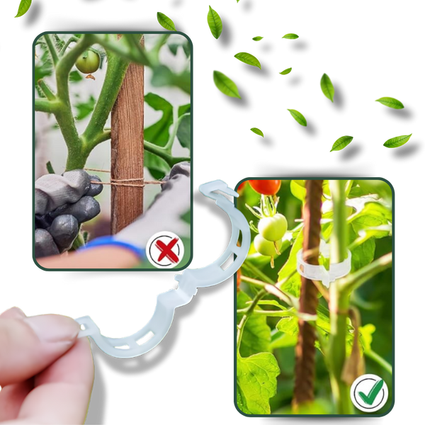 Reusable Clip-On Plant Support for Gentle Vertical Growth of Vines