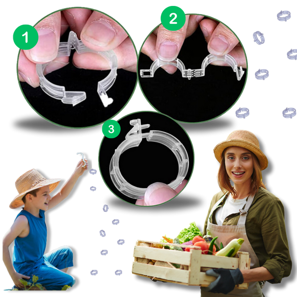 Reusable Clip-On Plant Support for Gentle Vertical Growth of Vines