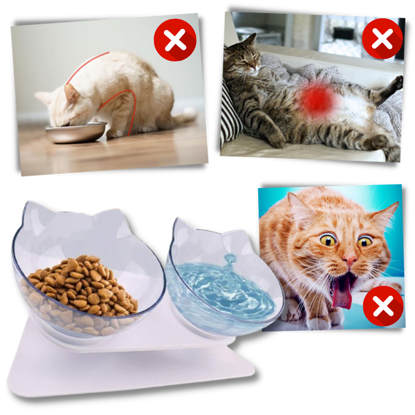 Elevated Cat Feeding Bowl With Ergonomic Comfort Design