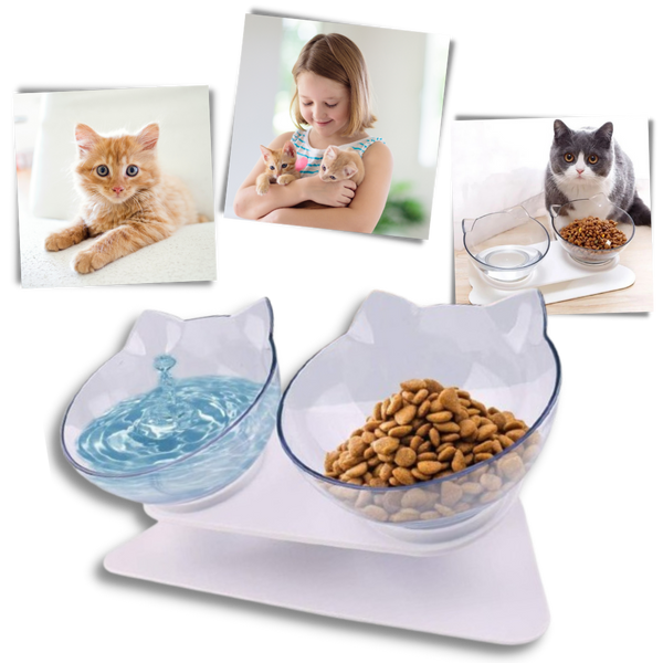 Elevated Cat Feeding Bowl With Ergonomic Comfort Design