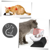 Elevated Cat Feeding Bowl With Ergonomic Comfort Design