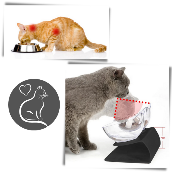 Elevated Cat Feeding Bowl With Ergonomic Comfort Design