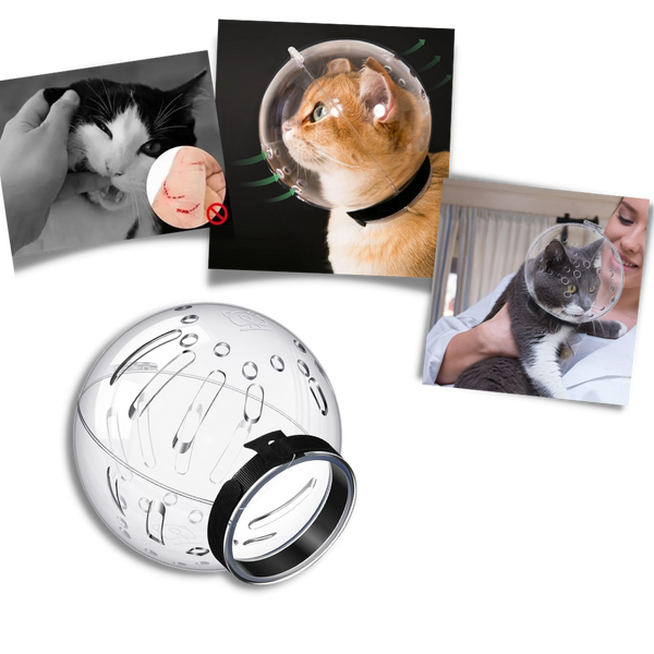 Cat Grooming Muzzle With Breathable Comfort And Secure Fit