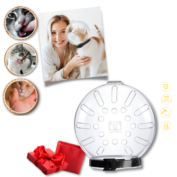 Cat Grooming Muzzle With Breathable Comfort And Secure Fit
