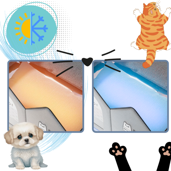 Cooling Cat House With Heat Reflective Insulation Layer