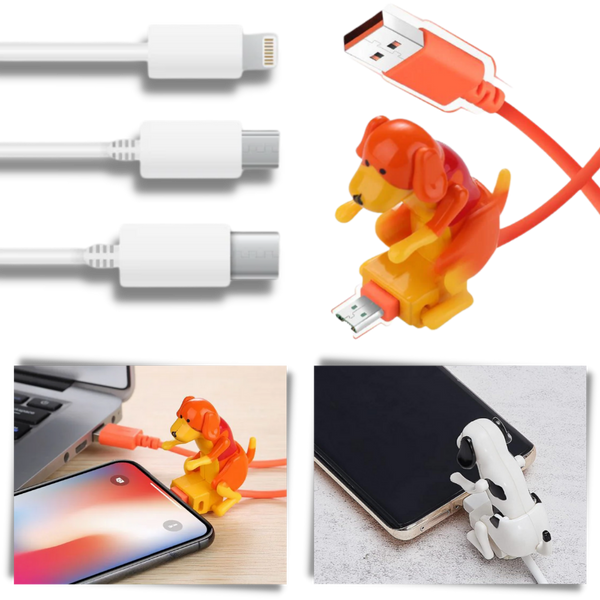 Rapid Charge USB Cable With Universal Compatibility And Unique Design