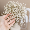 Natural Dried Baby's Breath For Wedding Floral Arrangements