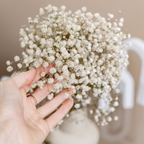 Natural Dried Baby's Breath For Wedding Floral Arrangements