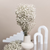 Natural Dried Baby's Breath For Wedding Floral Arrangements