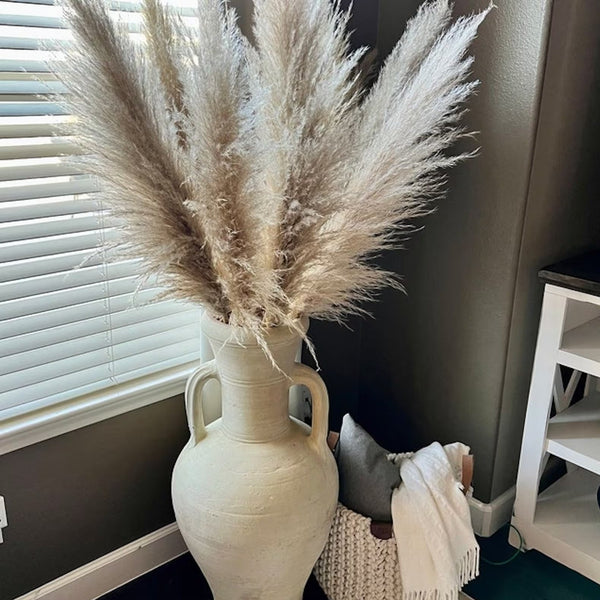 Dried Pampas Grass Plumes 10 Piece Set Natural Elegant Home Decor