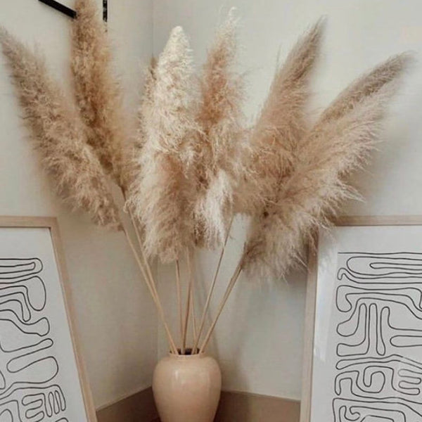 Dried Pampas Grass Plumes 10 Piece Set Natural Elegant Home Decor
