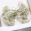 Natural Dried Baby's Breath For Wedding Floral Arrangements